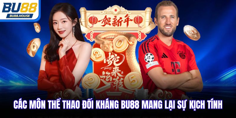 Các môn thể thao đối kháng BU88 mang lại sự kịch tính