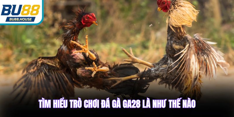 Tìm hiểu trò chơi đá gà GA28 là như thế nào