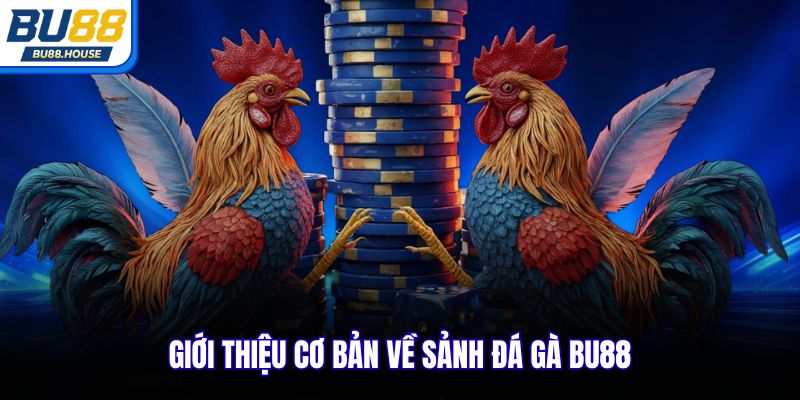 Giới thiệu cơ bản về sảnh Đá gà BU88