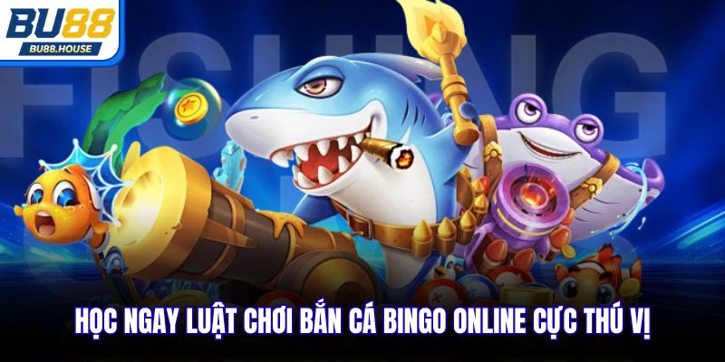 Học ngay luật chơi bắn cá Bingo online cực thú vị