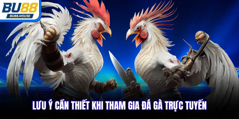 Lưu ý cần thiết khi tham gia đá gà trực tuyến